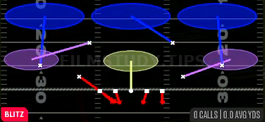 DB Blitz Tex 3 — Blitz play diagram